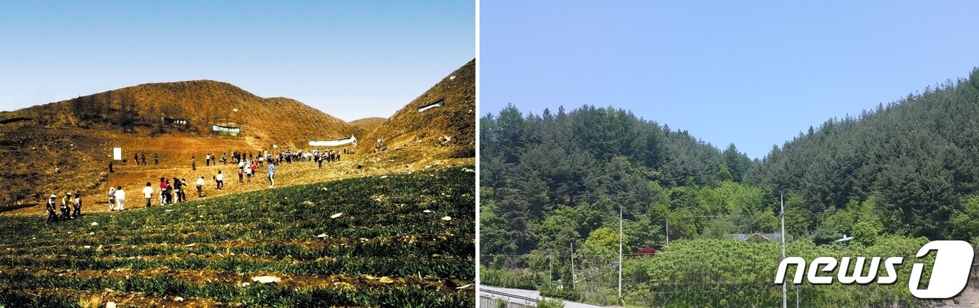 본문 이미지 - 1985년 처음 나무를 심었던 충북 제천시 백운면 화당리 전후(유한킴벌리 제공) 2024.4.4/뉴스1 ⓒ News1 김민석 기자