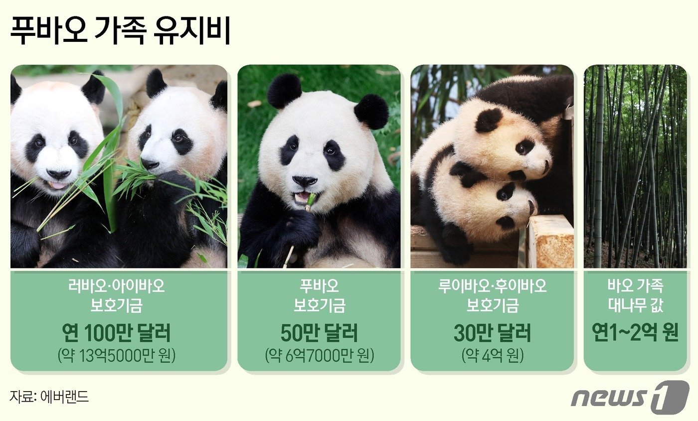 본문 이미지 - ⓒ News1 양혜림 디자이너