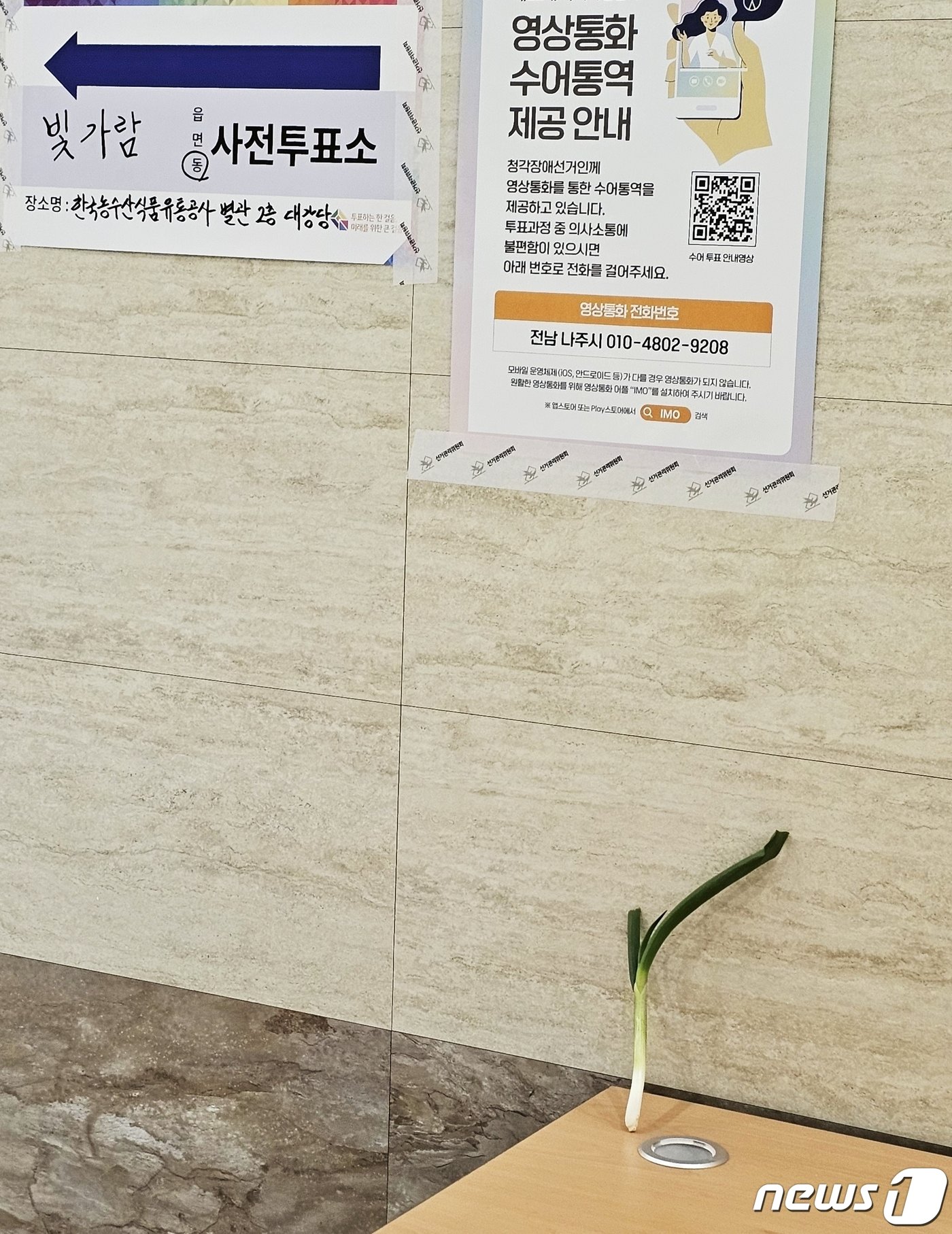 본문 이미지 - 제22대 총선 사전투표 첫날인 5일 오전 나주 혁신도시 빛가람동 투표소에 대파가 놓여있다.2024.4.5./뉴스1 ⓒ News1 서충섭 기자