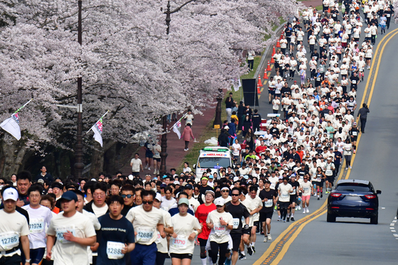 경주벚꽃마라톤 4월4일 출발…'블랙이글스 에어쇼' 선보여