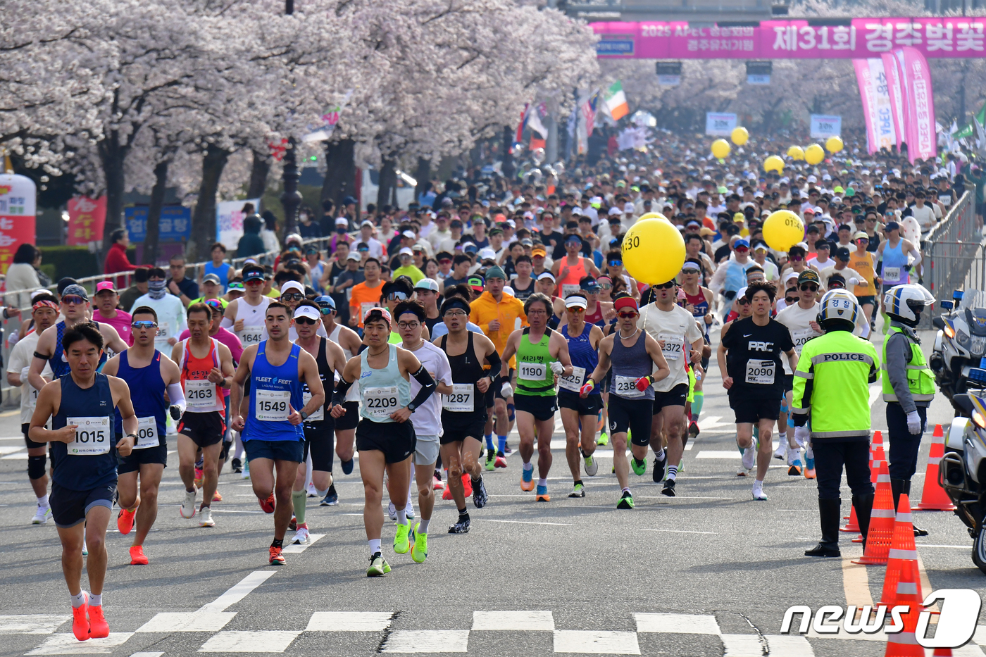 (경주=뉴스1) 최창호 기자 = 6일 오전 경북 경주시 보문단지에서 열린 제31회 경주벚꽃마라톤대회에 참가한 선수들이 출발 신호에 맞춰 힘차게 달리고 있다. 2024.4.6/뉴스1 …