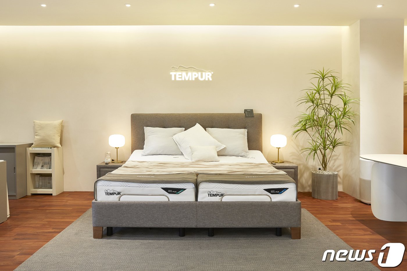 본문 이미지 - 템퍼 라운지 논현점에 전시 라이프스타일모션베드(템퍼 프리마 플러스 소프트 매트리스·+벨라 프레임 적용)(템퍼코리아 제공) 2024.4.7/뉴스1