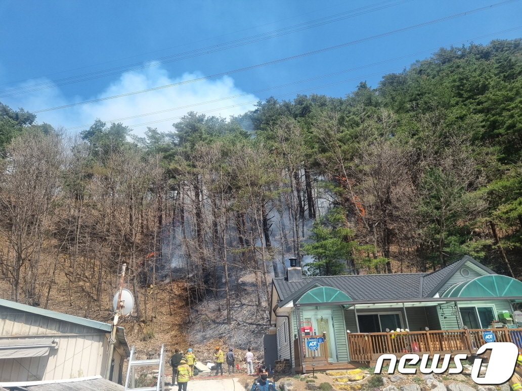 본문 이미지 - 동해시 신흥동 산불 현장.(산림청 제공)
