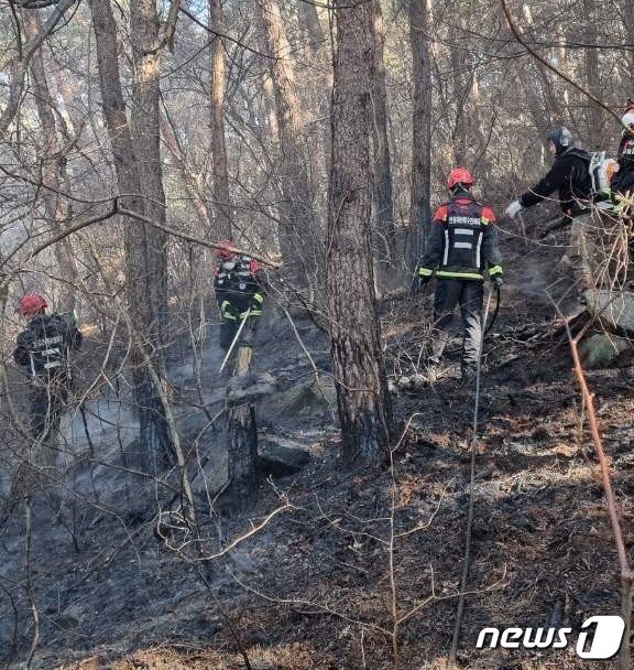 본문 이미지 - 경북 상주시 화남면 산불 현장.(산림청 제공)