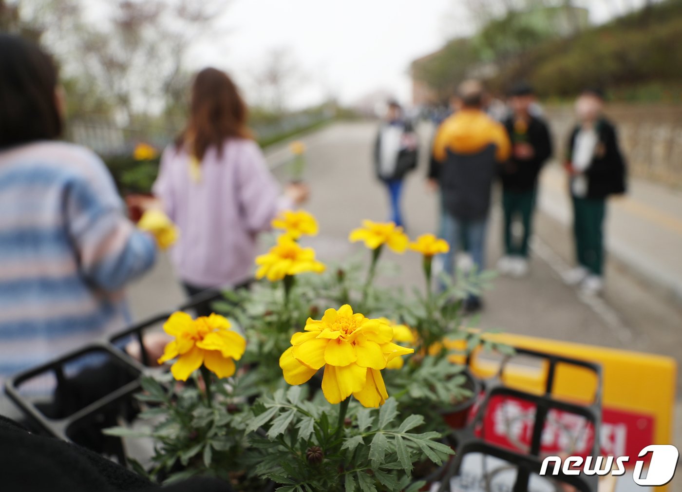 본문 이미지 - 8일 오후 경기 안산시 단원구 단원고등학교 앞에서 열린 &#39;4.16세월호 참사 10주기 기억선포식&#39;에서 유가족들이 단원고 학생들에게 노란 꽃을 나눠주고 있다. 2024.4.8/뉴스1 ⓒ News1 김영운 기자
