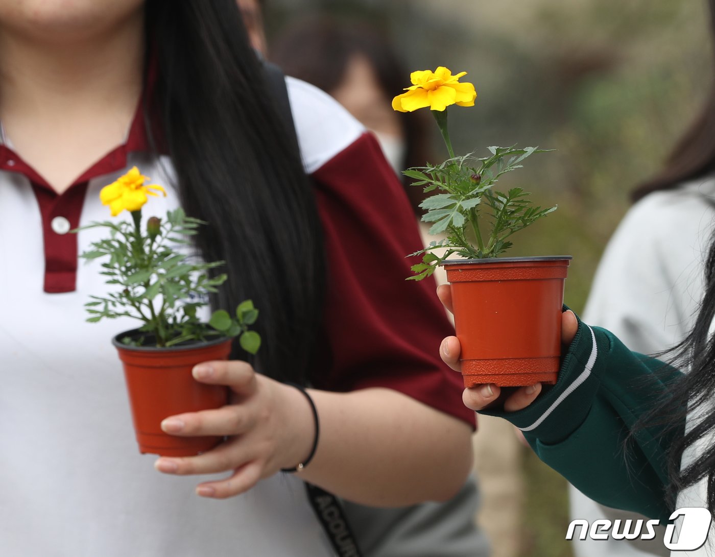본문 이미지 - 8일 오후 경기 안산시 단원구 단원고등학교 앞에서 열린 &#39;4.16세월호 참사 10주기 기억 선포식&#39;이 끝난 후 단원고 학생들이 유가족들에게 받은 노란 꽃을 들고 가고 있다. 2024.4.8/뉴스1 ⓒ News1 김영운 기자