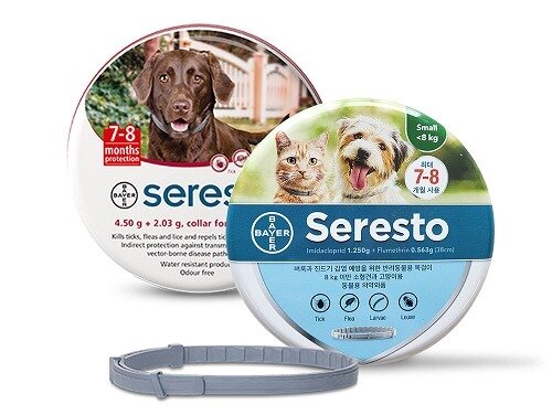 본문 이미지 - 엘랑코동물약품 세레스토(한국엘랑코동물약품 제공) ⓒ 뉴스1