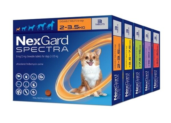 본문 이미지 - 넥스가드 스펙트라(한국베링거인겔하임동물약품 제공) ⓒ 뉴스1