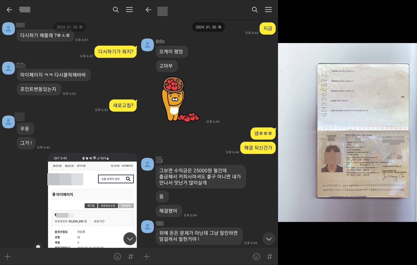 직장인 김모씨가 결혼중개앱에서 만난 남성과 카카오톡으로 나눈 대화 내용. 부업을 대신해달라고 접근했고 나중에는 위조된 것으로 추정되는 여권까지 보내서 김씨를 안심시켰다. &#40;자료=독자제공&#41;