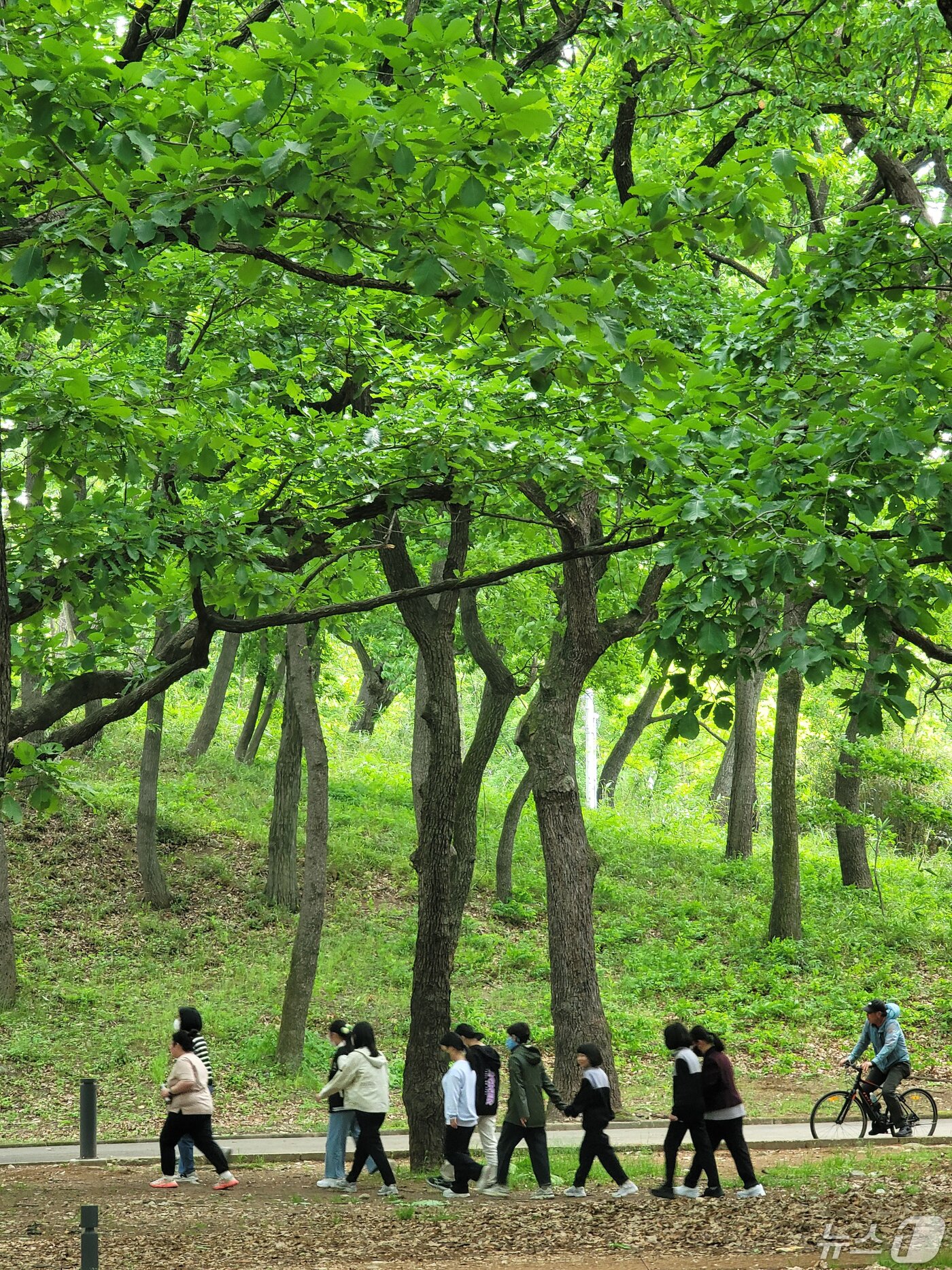 본문 이미지 - 지난해 근로자의 날이자 가정의 달인 5월1일 경북 경주시 황성공원을 찾은 시민들 모습. (뉴스1 자료, 재판매 및 DB금지) 2026.3.17 ⓒ 뉴스1 최창호 기자