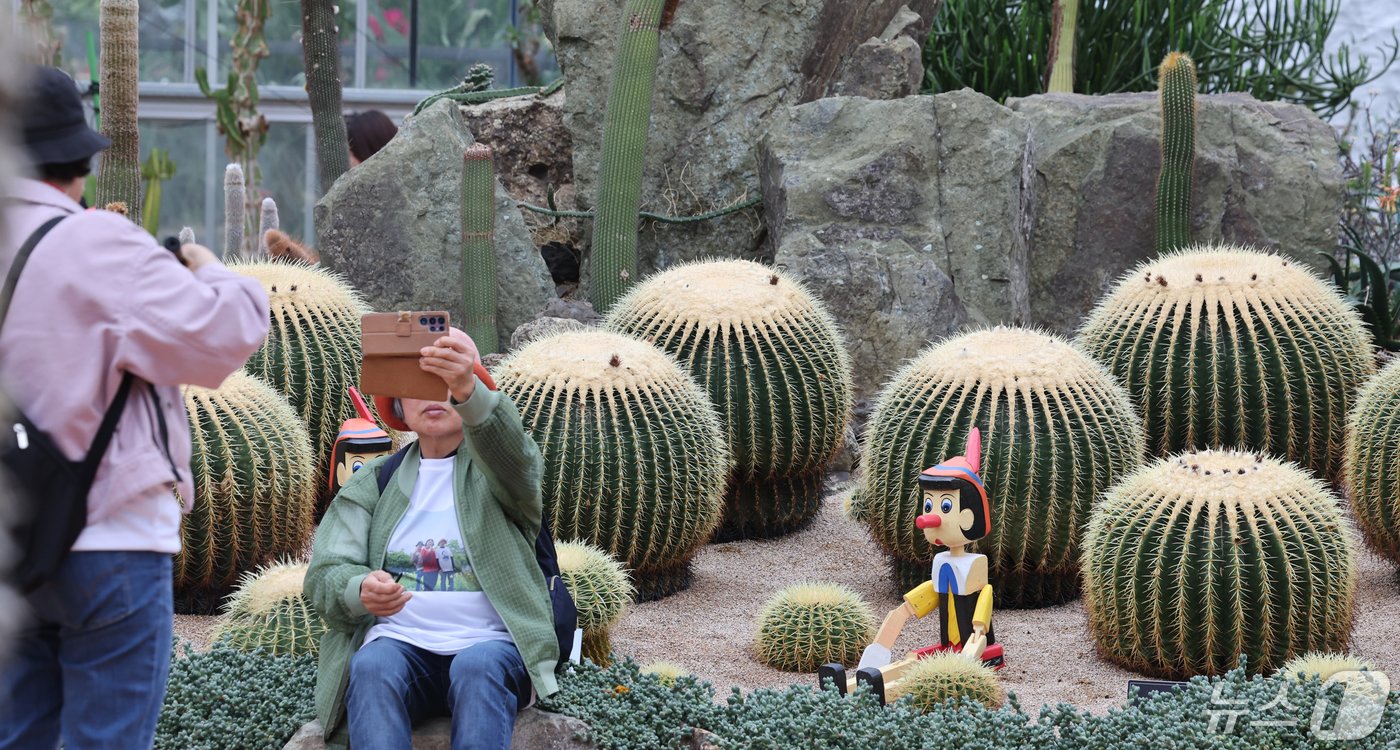 본문 이미지 - 1일 함평나비대축제를 찾은 관광객 등이 식물관에서 사막에서 자라는 선인장을 배경으로 기념 사진을 찍고 있다. 2024.5.1/뉴스1 ⓒ News1 김태성 기자