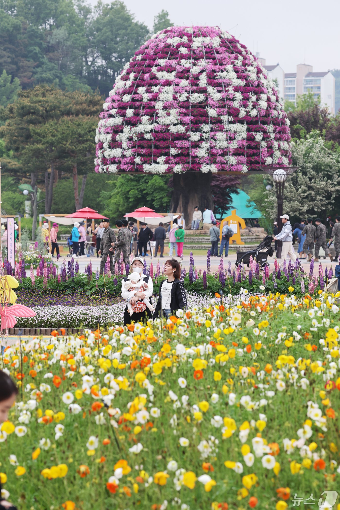 본문 이미지 - 1일 엑스포공원 주제관 앞마당에는 지름 10m, 높이 14m의 꿈나무와 희망나무 조형물이 형형색색 봄꽃들과 손님을 맞는다. 2024.5.1/뉴스1 ⓒ News1 김태성 기자