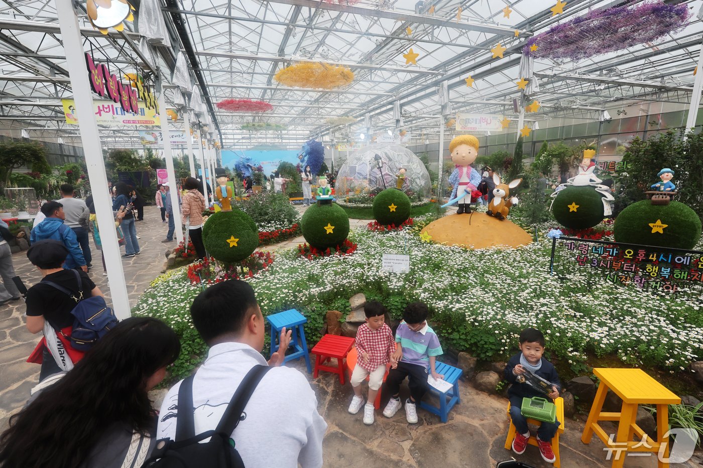 본문 이미지 - 1일 함평나비축제를 찾은 관광객 등이 나비곤충생태관에서 수 많은 나비들이 날아다니는 꽃을 배경으로 기념 사진을 찍고 있다.2024.5.1/뉴스1 ⓒ News1 김태성 기자