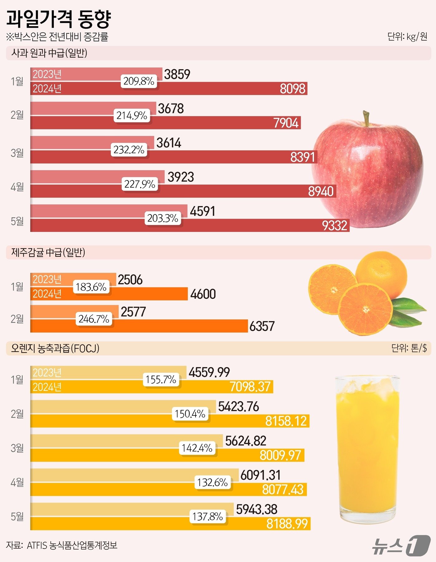 본문 이미지 - ⓒ News1 양혜림 디자이너