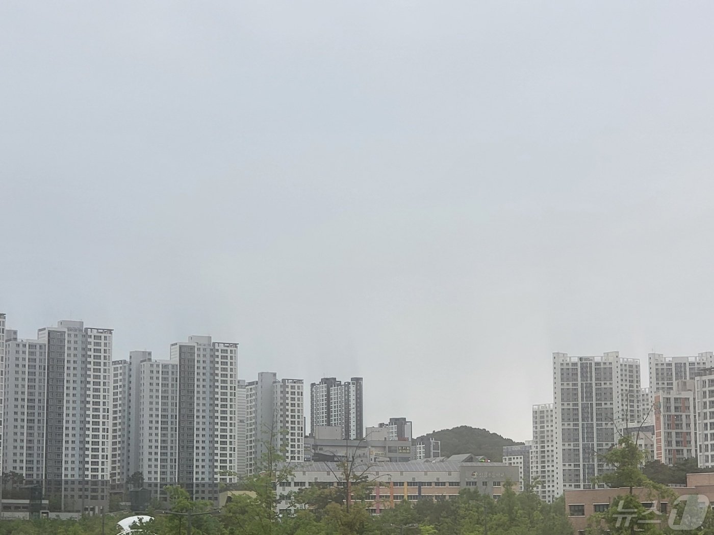 본문 이미지 - 11일 오후 강원 원주시 지정면 기업도시 아파트 단지 주변 하늘이 흐린 가운데, 빗방울이 떨어지고 있다. 2024.5.11/뉴스1 신관호 기자