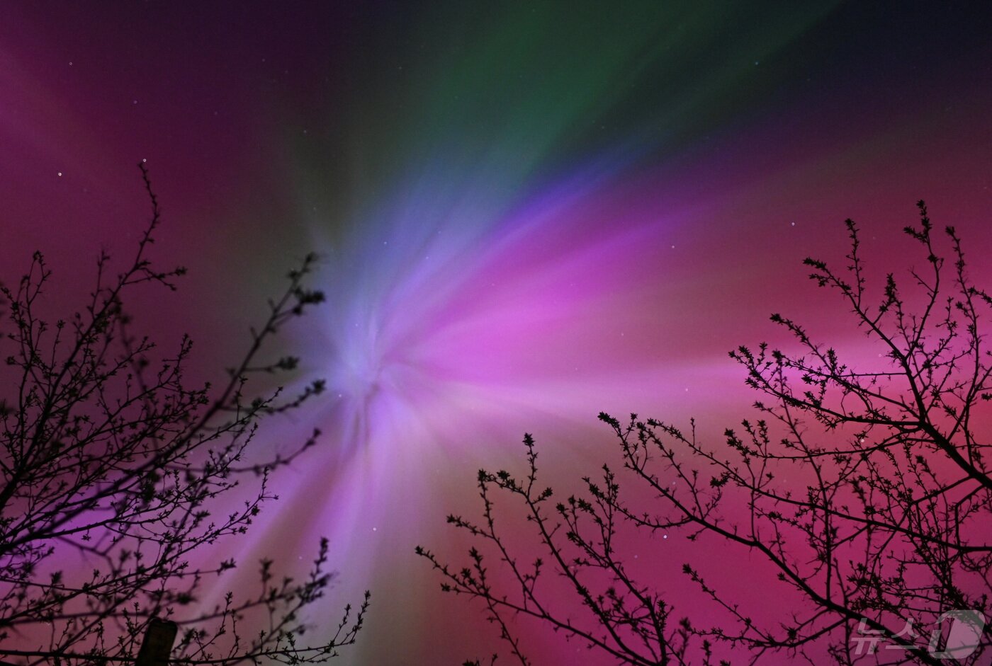 본문 이미지 - 러시아 시베리아 옴스크 지역 남서부 마을 '타라' 상공에서 오로라가 하늘을 밝게 비추고 있다.2024.5.11 ⓒ 로이터=뉴스1 