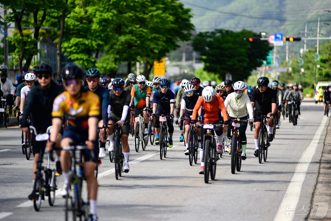 본문 이미지 - 국내 최고의 마스터즈 대회로 손꼽히는 2024 화천 DMZ랠리가 12일 화천 일대에서 열렸다. 화천 DMZ 랠리는 천혜 비경을 가진 민간인 통제선(DMZ)을 넘나드는 총연장 73㎞ 코스다.(화천군 제공)2024.5.12/뉴스1