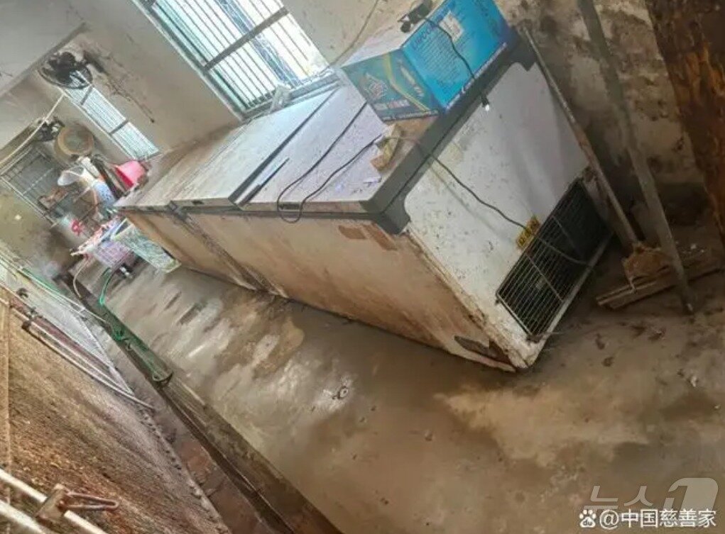 본문 이미지 -  폐사된 동물들이 냉동고에 보관돼있다. (사진출처=중국자선가)