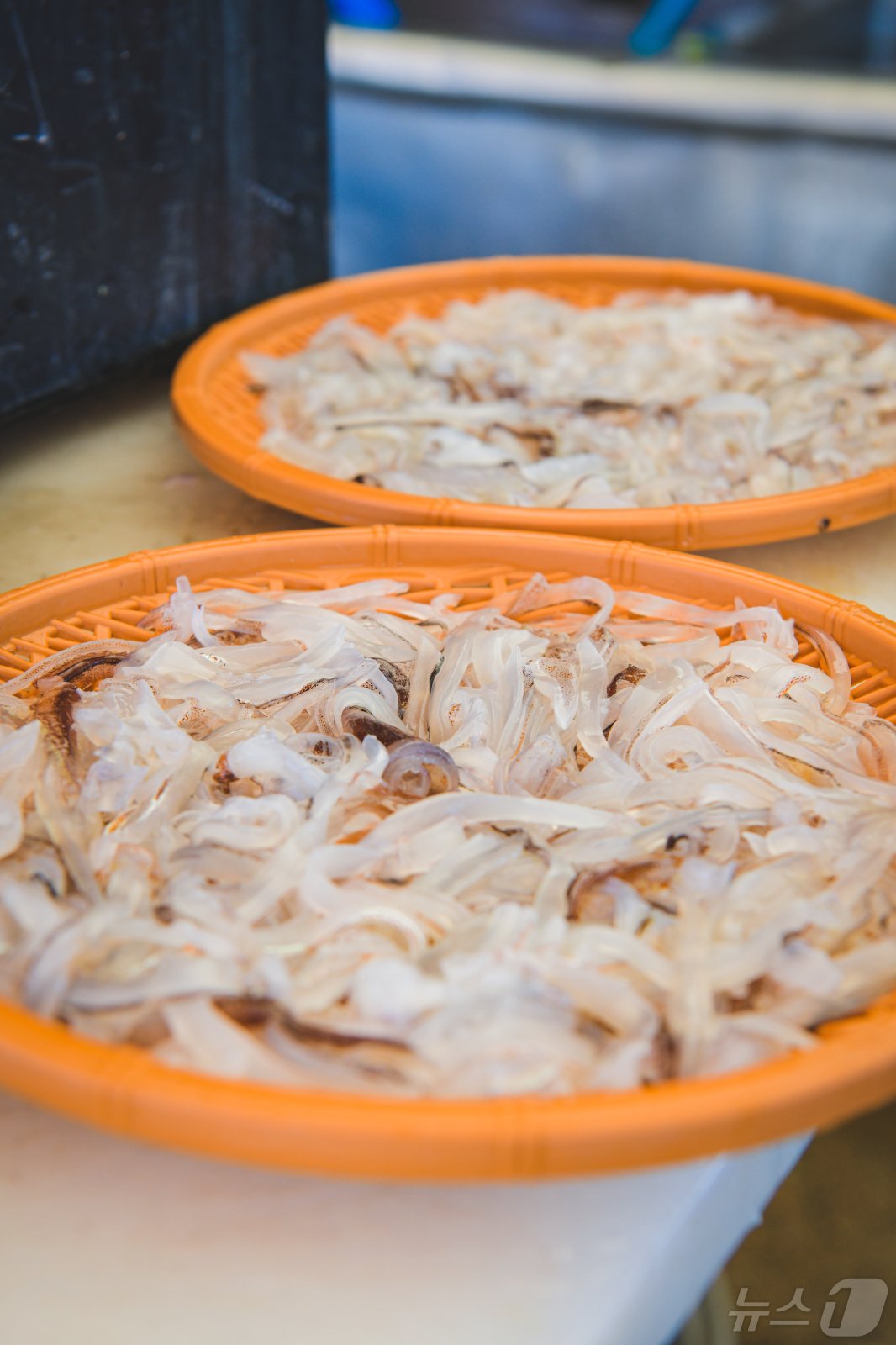 본문 이미지 - 오징어 금어기 해제 후 첫 조업에 나섰던 어선이 돌아온 14일 강원 속초지역 대표 포장마차촌인 '오징어난전'이 손님들로 붐비고 있다.(속초시 제공) 2024.5.14/뉴스1