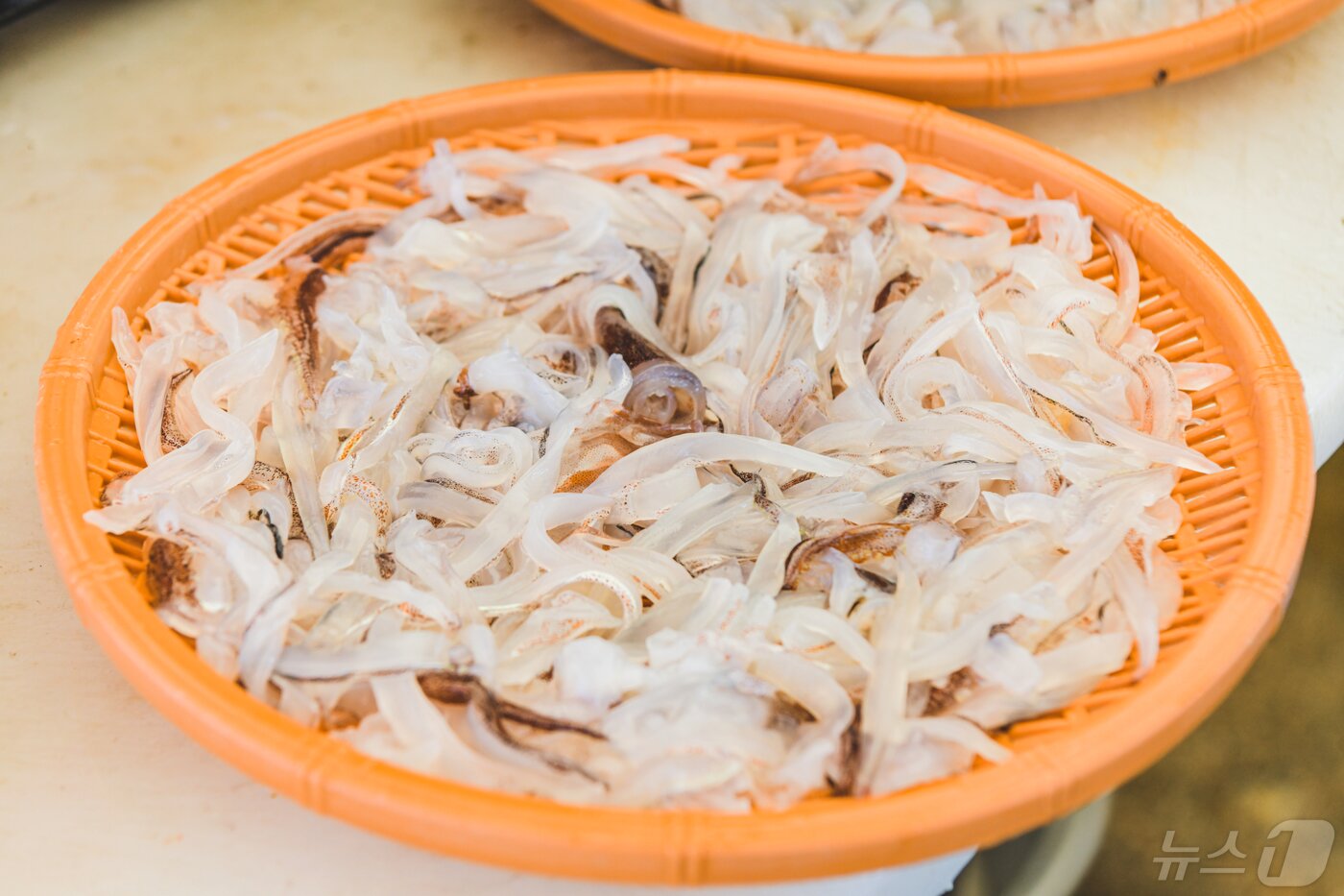 본문 이미지 - 강원 속초 대표 포장마차촌인 오징어난전의 대표 메뉴인 오징어회.&#40;속초시 제공, 재판매 및 DB 금지&#41;ⓒ News1 윤왕근 기자