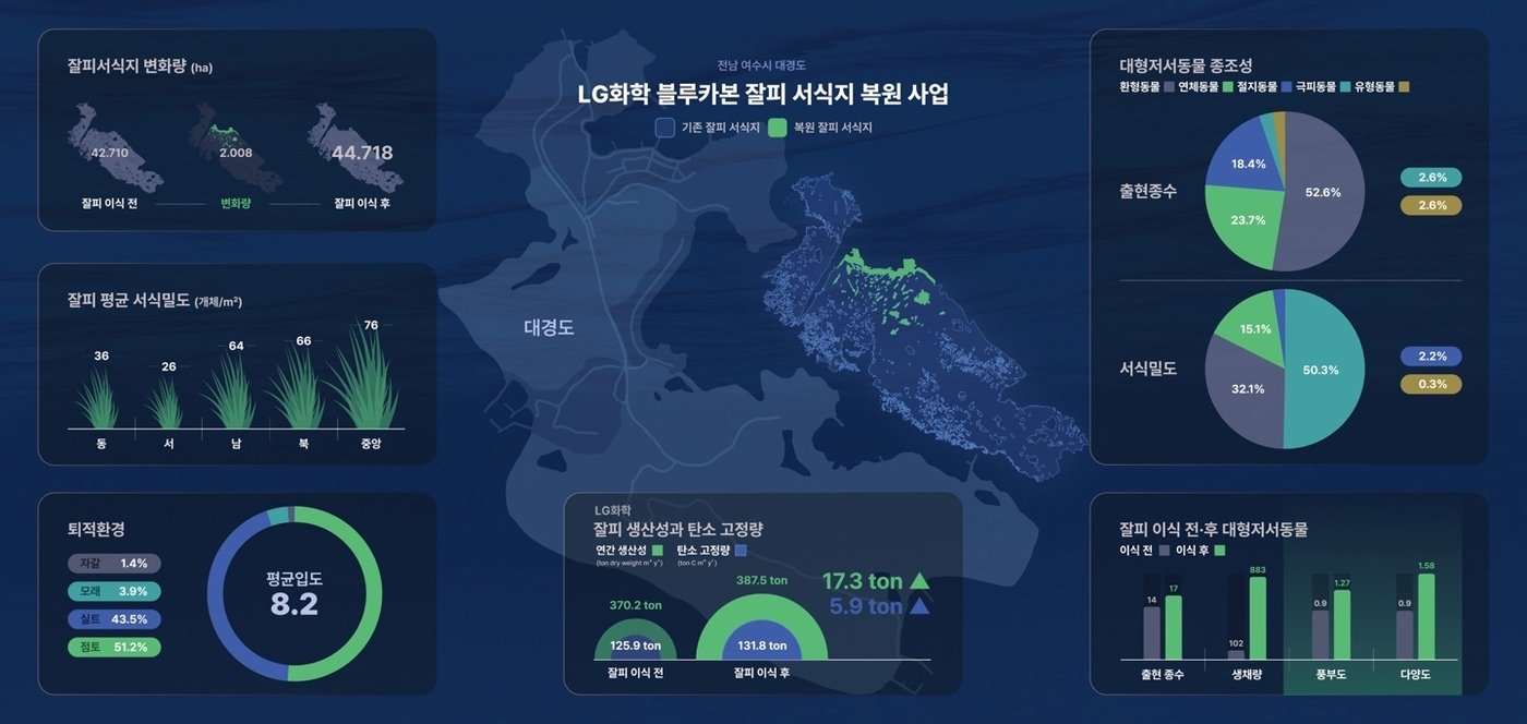 블루카본 잘피 서식지 복원 사업 현황&#40;LG화학·한국수산자원공단 제공&#41;