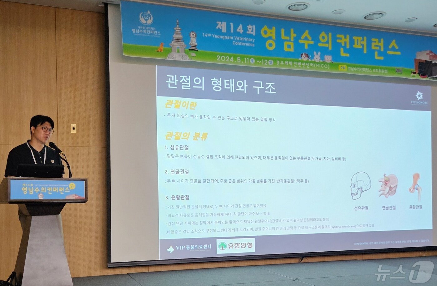 본문 이미지 - 김종인 VIP동물의료센터 원장은 12일 경주화백컨벤션센터에서 열린 영남수의콘퍼런스에서 애니콘주 활용법 강의를 진행했다. ⓒ 뉴스1 최서윤 기자