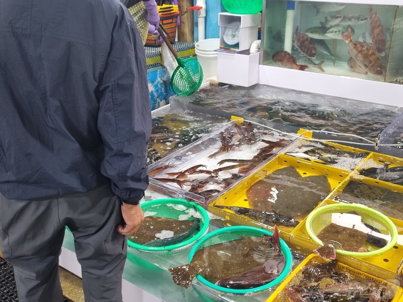 본문 이미지 - 불기 2568년 부처님 오신날이자 법정공휴일인 15일 최근 오징어 풍어를 이룬 강원 강릉시 주문진항 어시장이 식도락객으로 붐비고 있다. 2024.5.15/뉴스1 ⓒ News1 윤왕근 기자