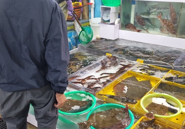강원도, 양식장 '친환경 수산물 인증' 지원…7개 시군 10곳 대상