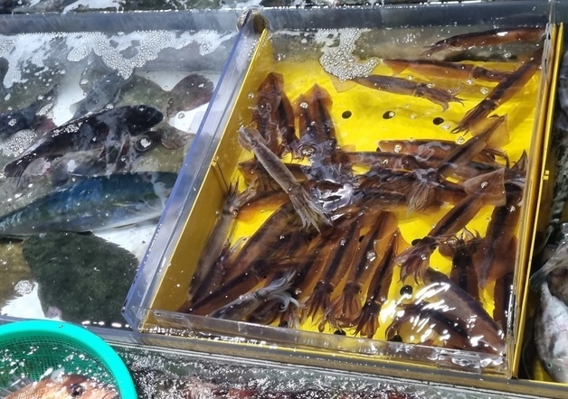많이 본 뉴스