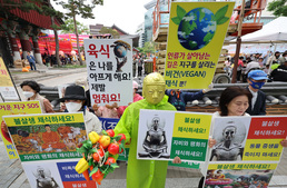 불살생(不殺生) 채식 촉구 기자회견 개최한 한국채식연합