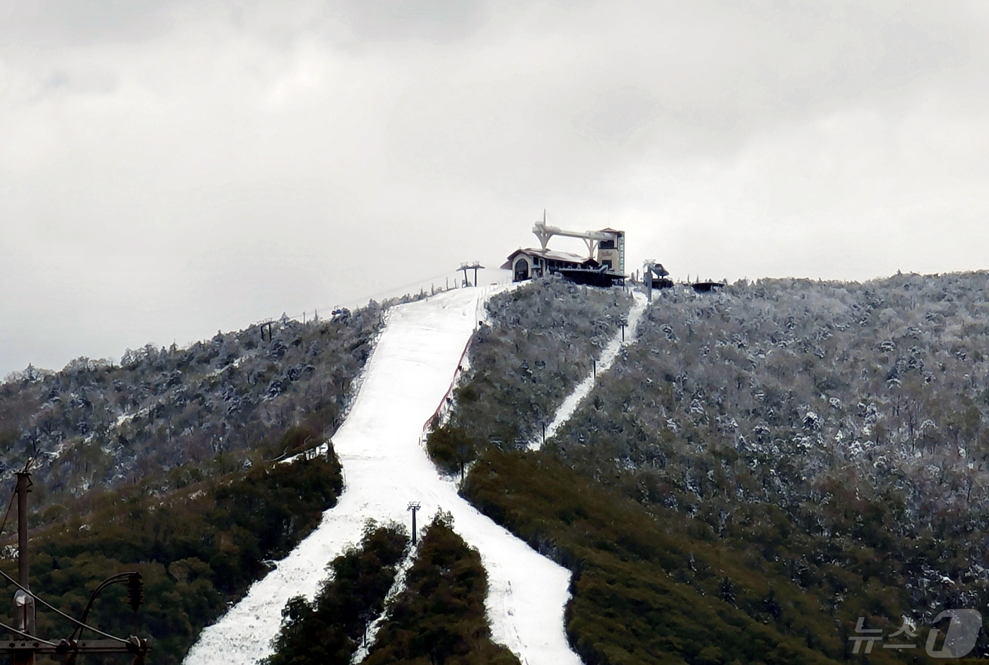 (평창=뉴스1) 한귀섭 기자 = 5월 중순 강원 북부 산간 지역에 이례적인 대설특보가 내려지면서 고지대를 중심으로 많은 눈이 쌓였다. 16일 강원 평창 대관령면 발왕산 정상 부근에 …