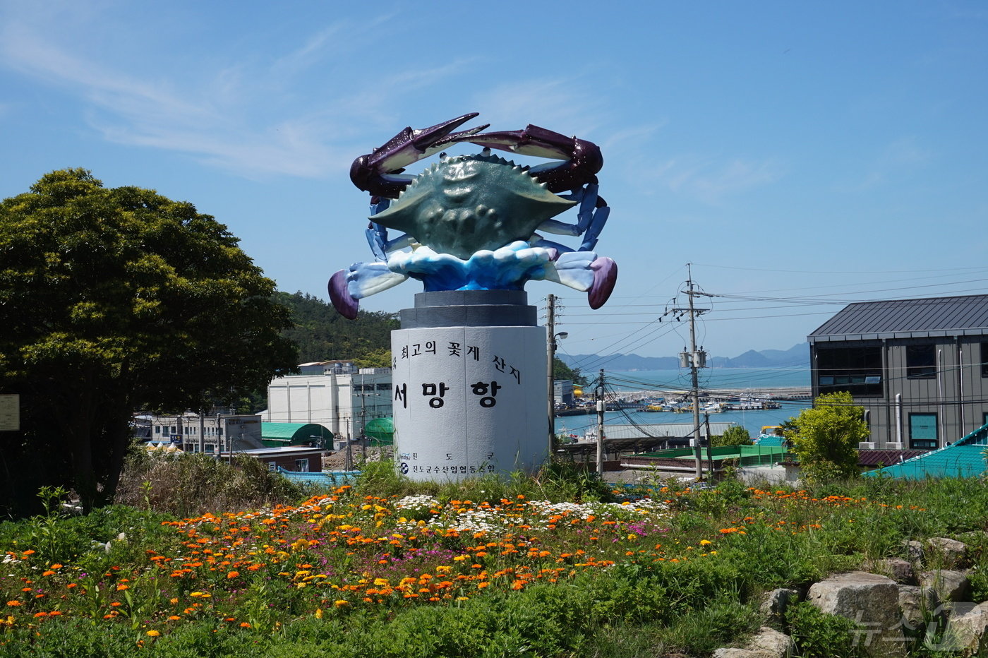 본문 이미지 - 서망항 언덕의 꽃게 조형물.   2024.5.17./뉴스1 ⓒ News1 조영석 기자
