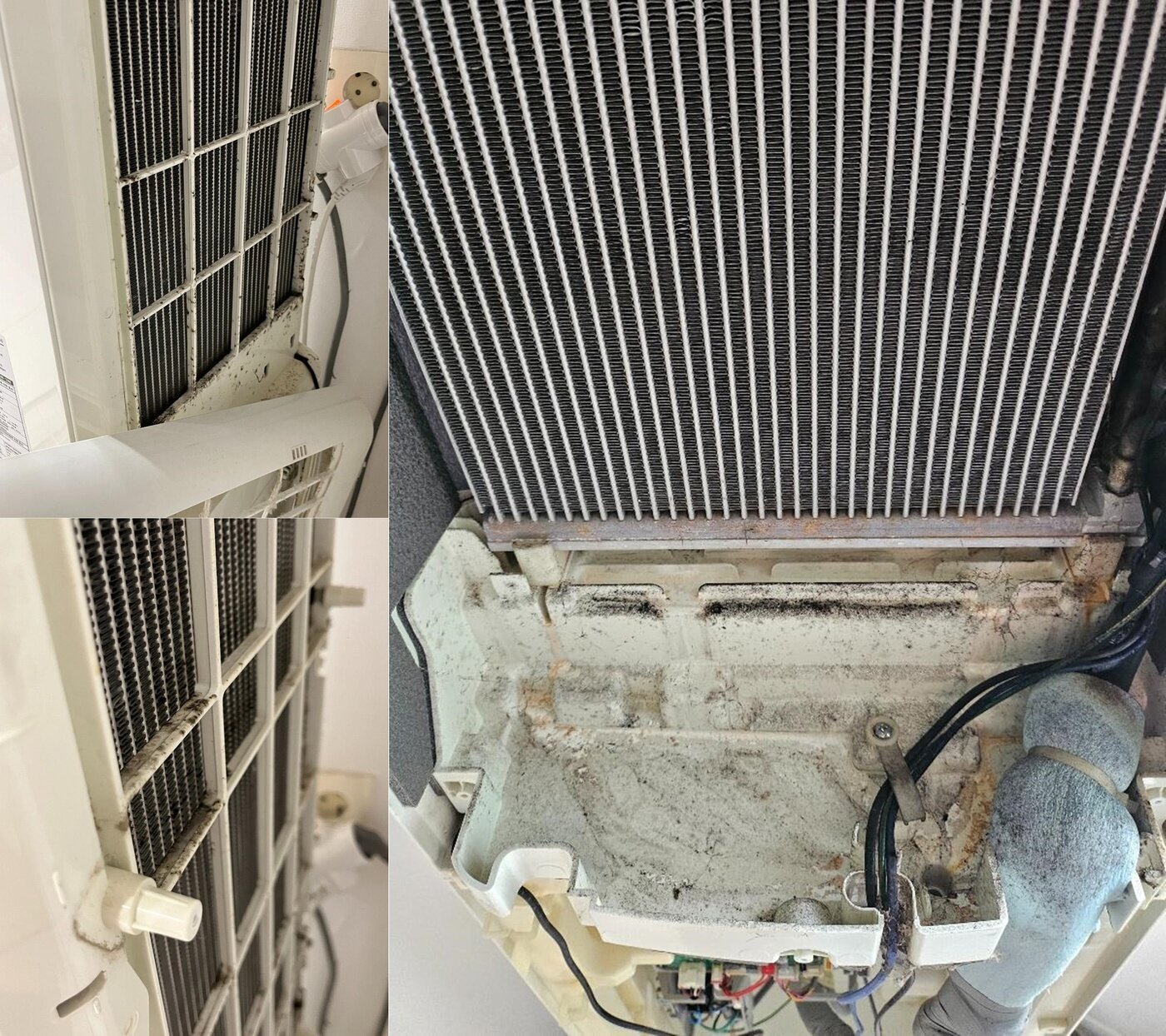 본문 이미지 - 온라인 커뮤니티 '보배드림'