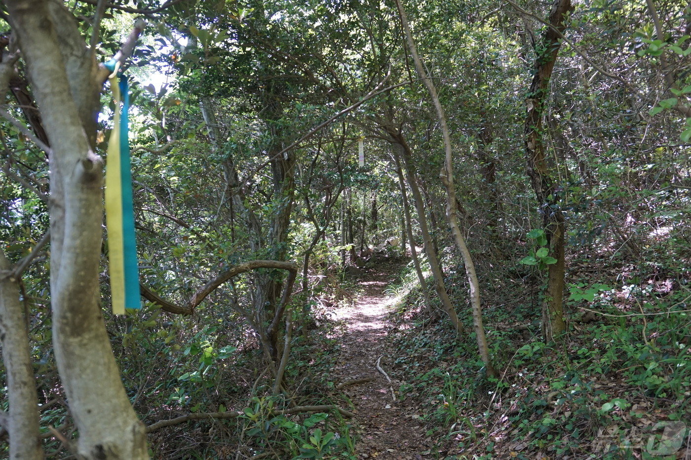 본문 이미지 - &#39;팽목바람길&#39;  2024.5.17./뉴스1 ⓒ News1 조영석 기자