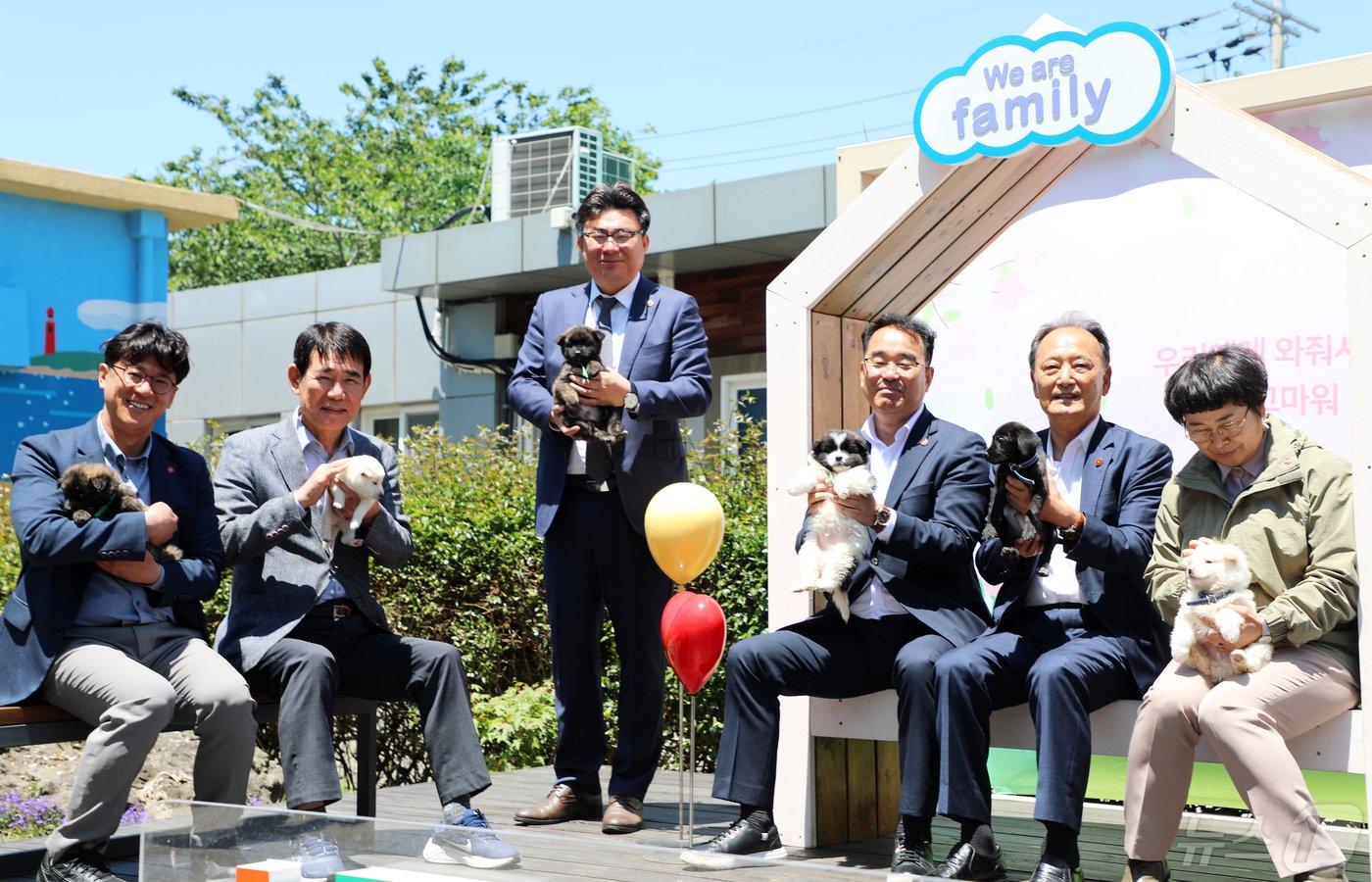 본문 이미지 - 제주특별자치도의회 농수축경제위원회 소속 (왼쪽부터) 양영수·박호형·강충룡·김승준·강연호·강성의 의원이 16일 오전 제주시 용강동 제주동물보호센터 보호동 앞에서 유기견들을 안고 입양 활성화 홍보 촬영을 하고 있다.2024.5.16./뉴스1 ⓒ News1 오미란 기자
