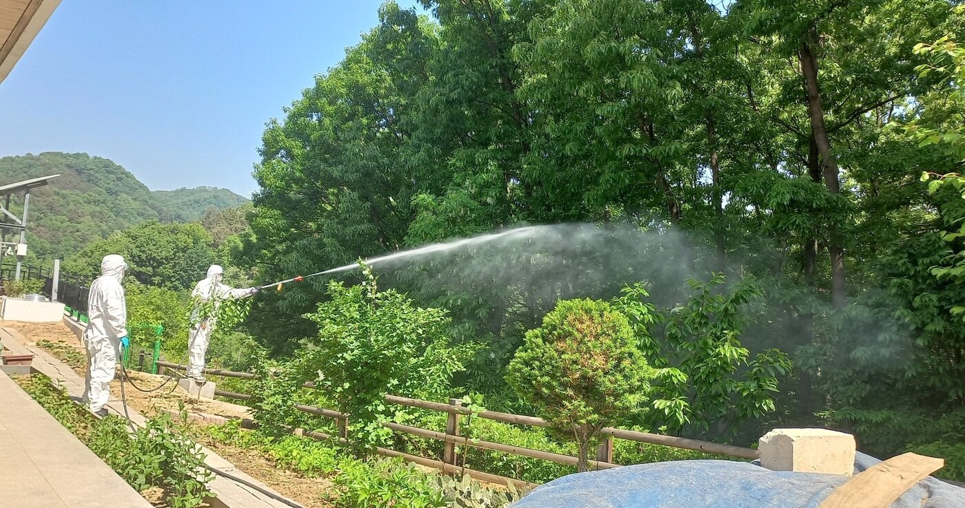 본문 이미지 - 청주시 검털파리 방역 (시 제공)