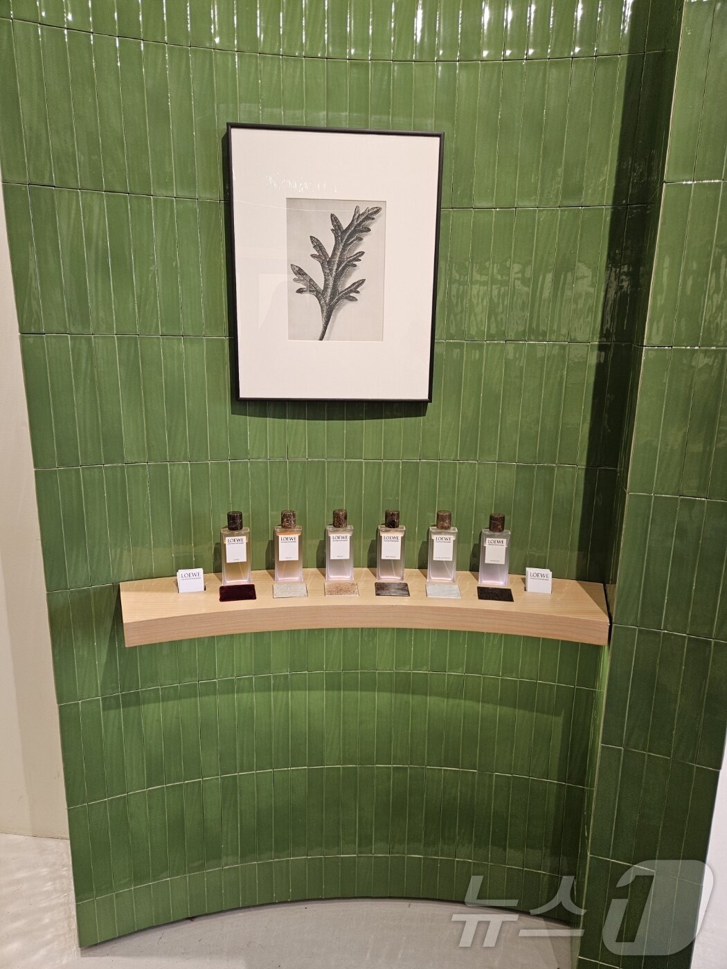 본문 이미지 - 로에베 퍼퓸 팝업스토어.ⓒ 뉴스1/김진희 기자.