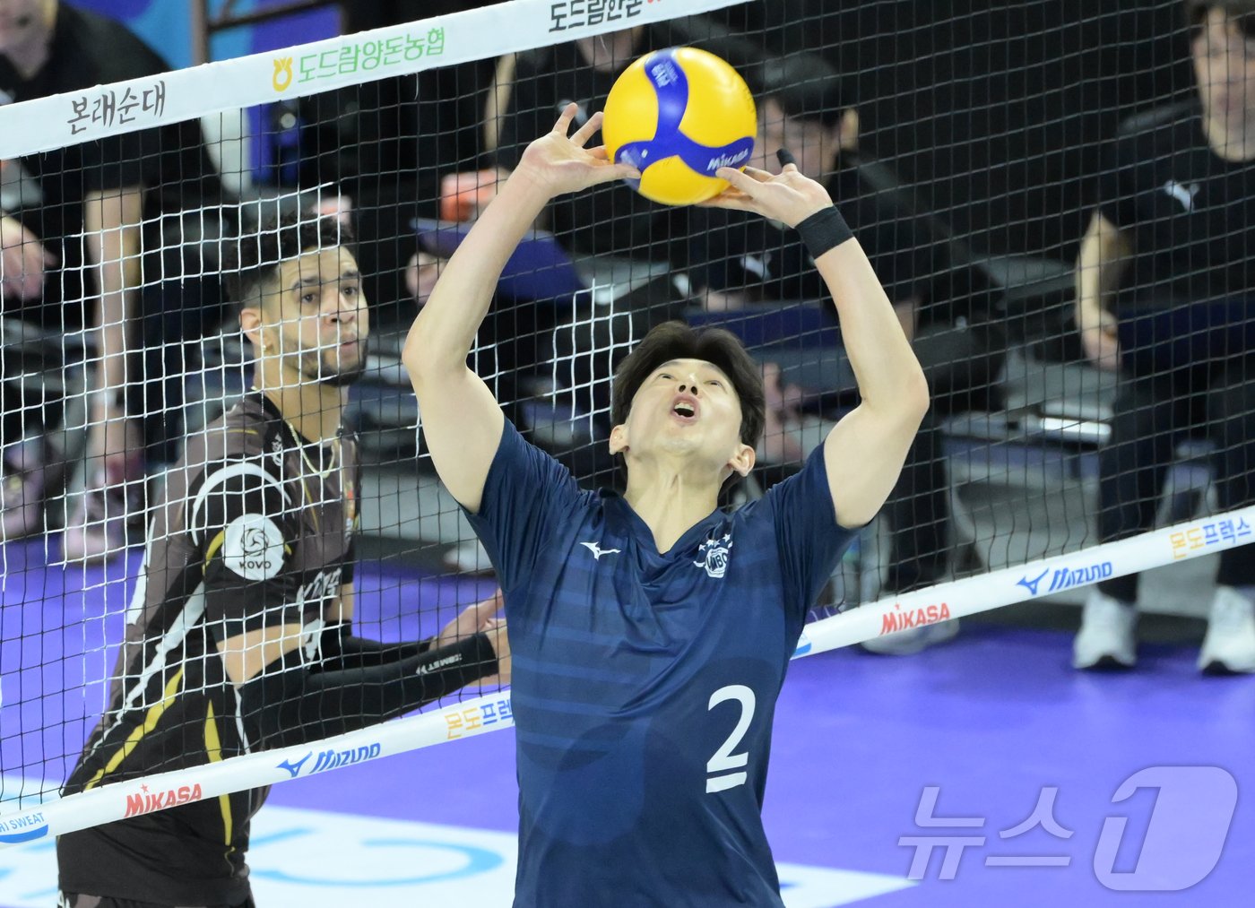 본문 이미지 - 만 42세까지 &#39;최고 대우&#39;를 받는 대한항공 한선수. &#40;KOVO 제공&#41;