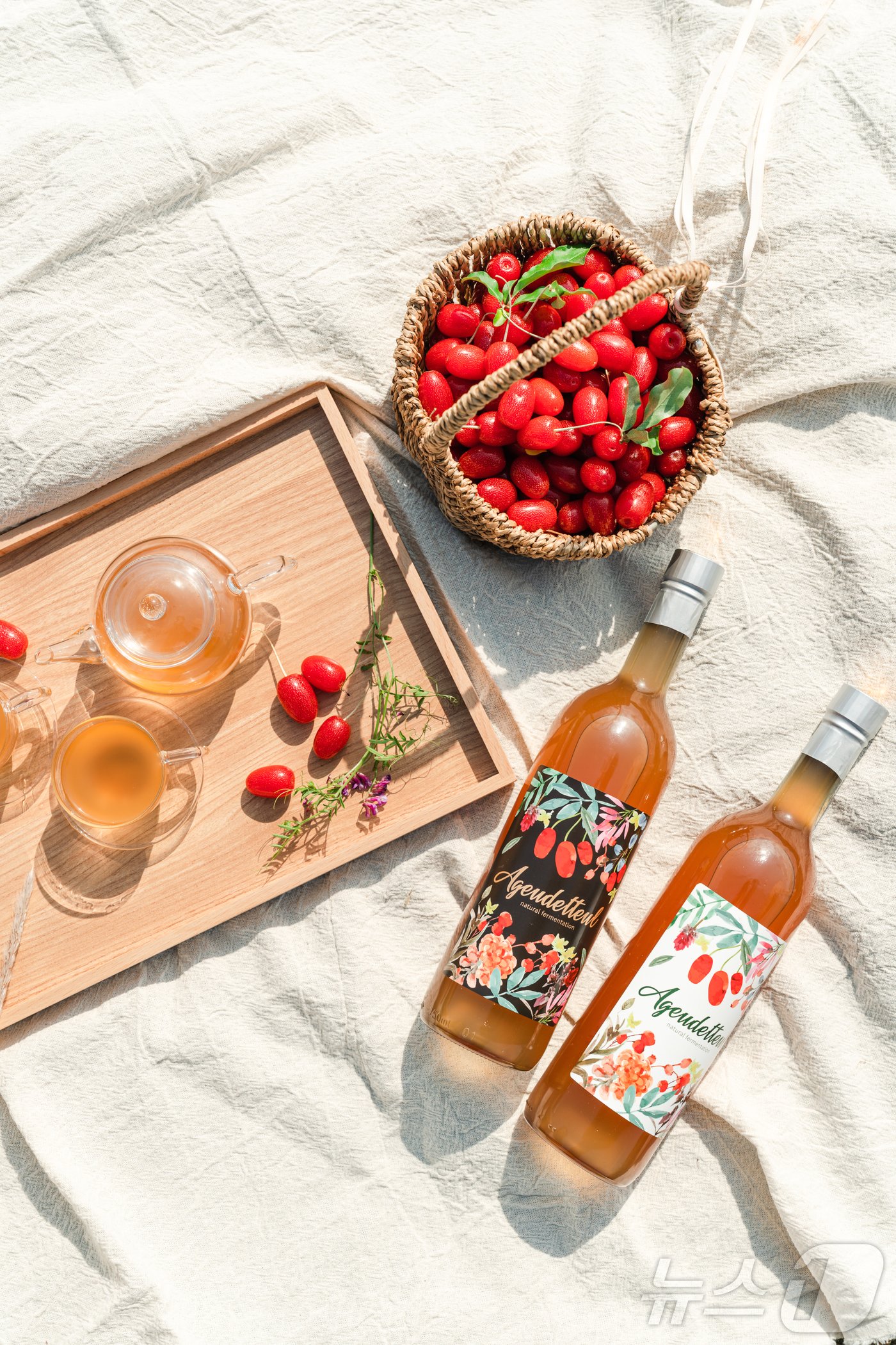 본문 이미지 - 뜰보리수 열매와 수제 발효차. 뉴스1