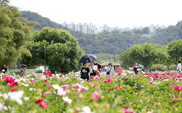 울산시 태화강국가정원 가을축제 개최…25일~27일