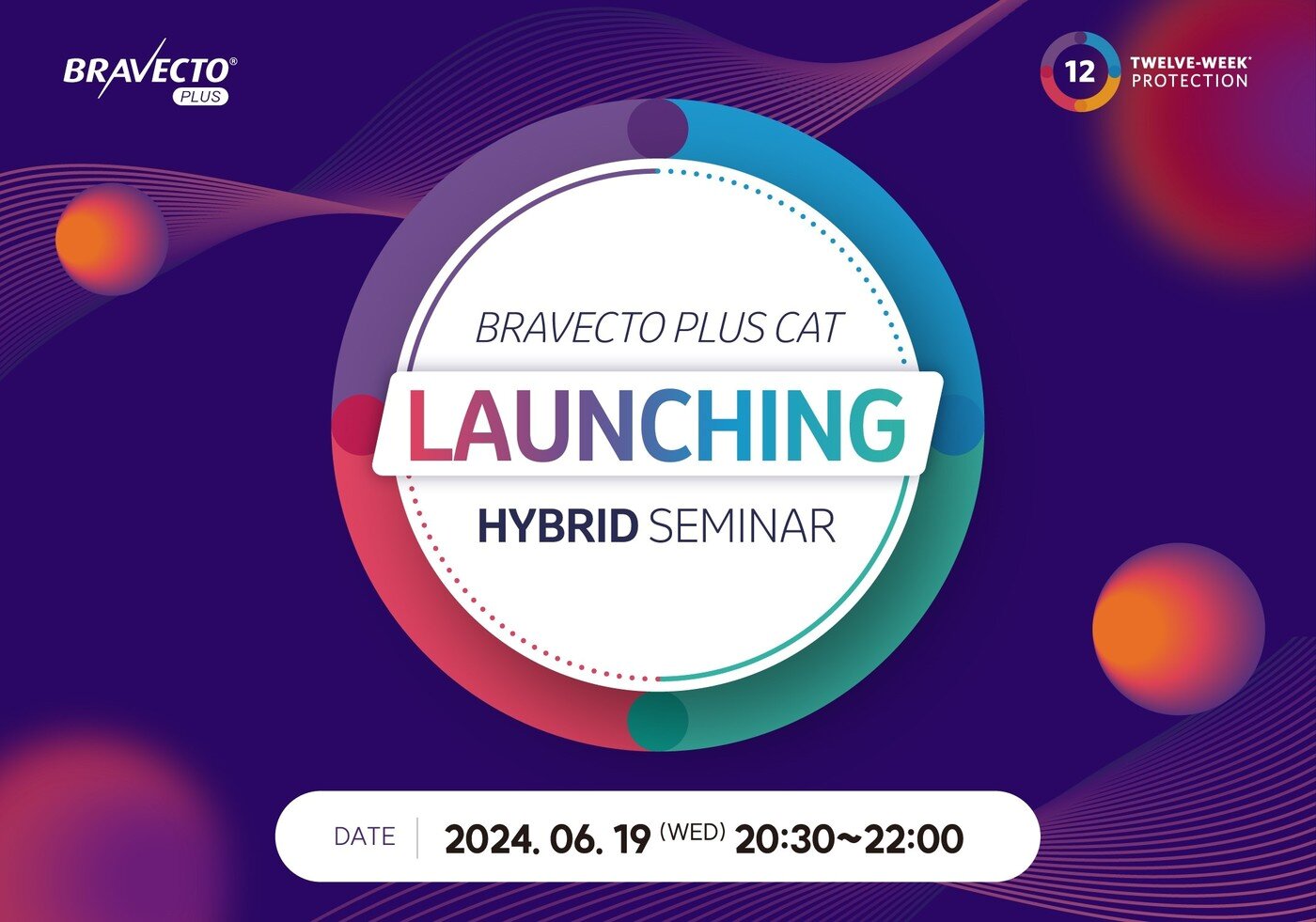 본문 이미지 - 한국엠에스디동물약품 제공 ⓒ 뉴스1