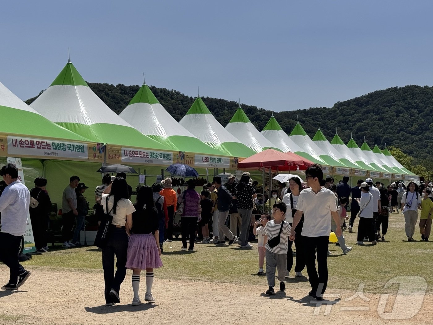 18일 울산 태화강 국가정원에서 봄꽃 축제가 열려 시민들의 발걸음이 이어지고 있다. 2024.5.18/뉴스1 ⓒ News1 김세은 기자