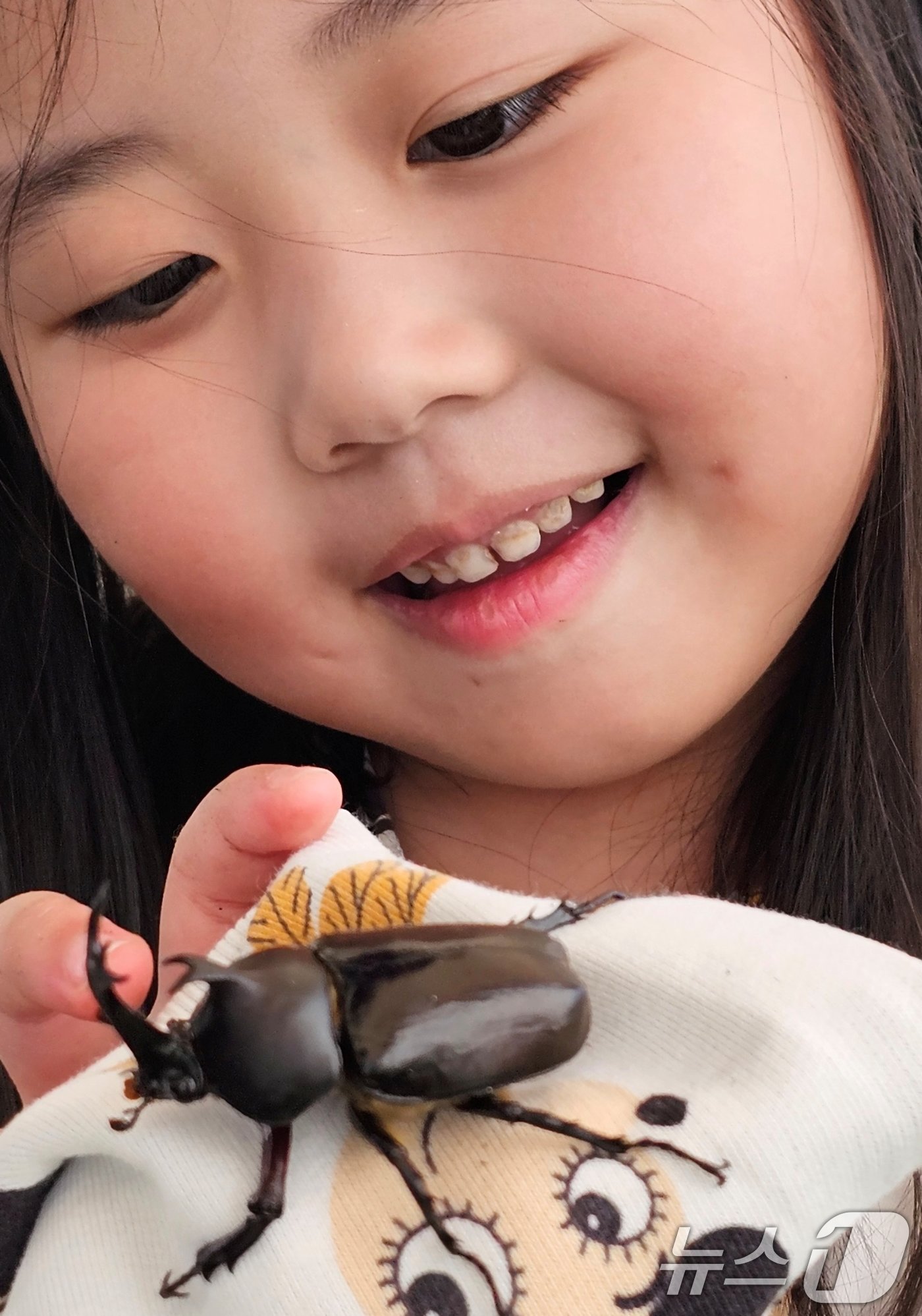 본문 이미지 - 18일 성주 성밖숲에서 열린 '2024 성주생명·참외문화축제장 곤충체험 코너에서 한 어린이가 장수풍뎅이를 신기한듯 바라보고 있다. 2024.5.18/뉴스1 ⓒ News1 정우용 기자