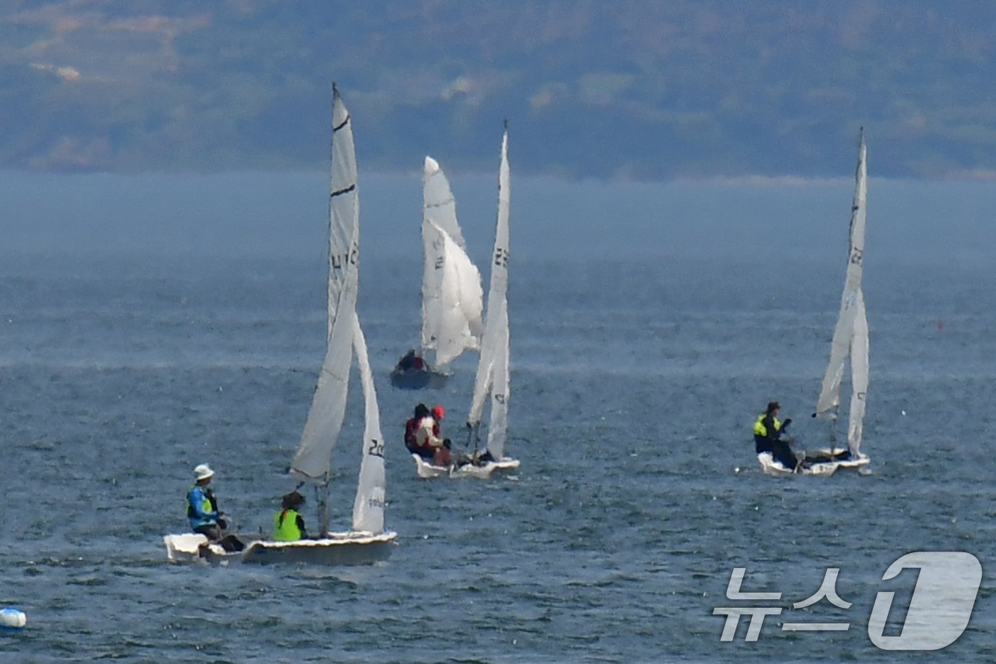 본문 이미지 - 올림픽 해양 스포츠 중 가장 오랜 역사를 자랑하는 요트. /뉴스1 ⓒ News1 최창호 기자
