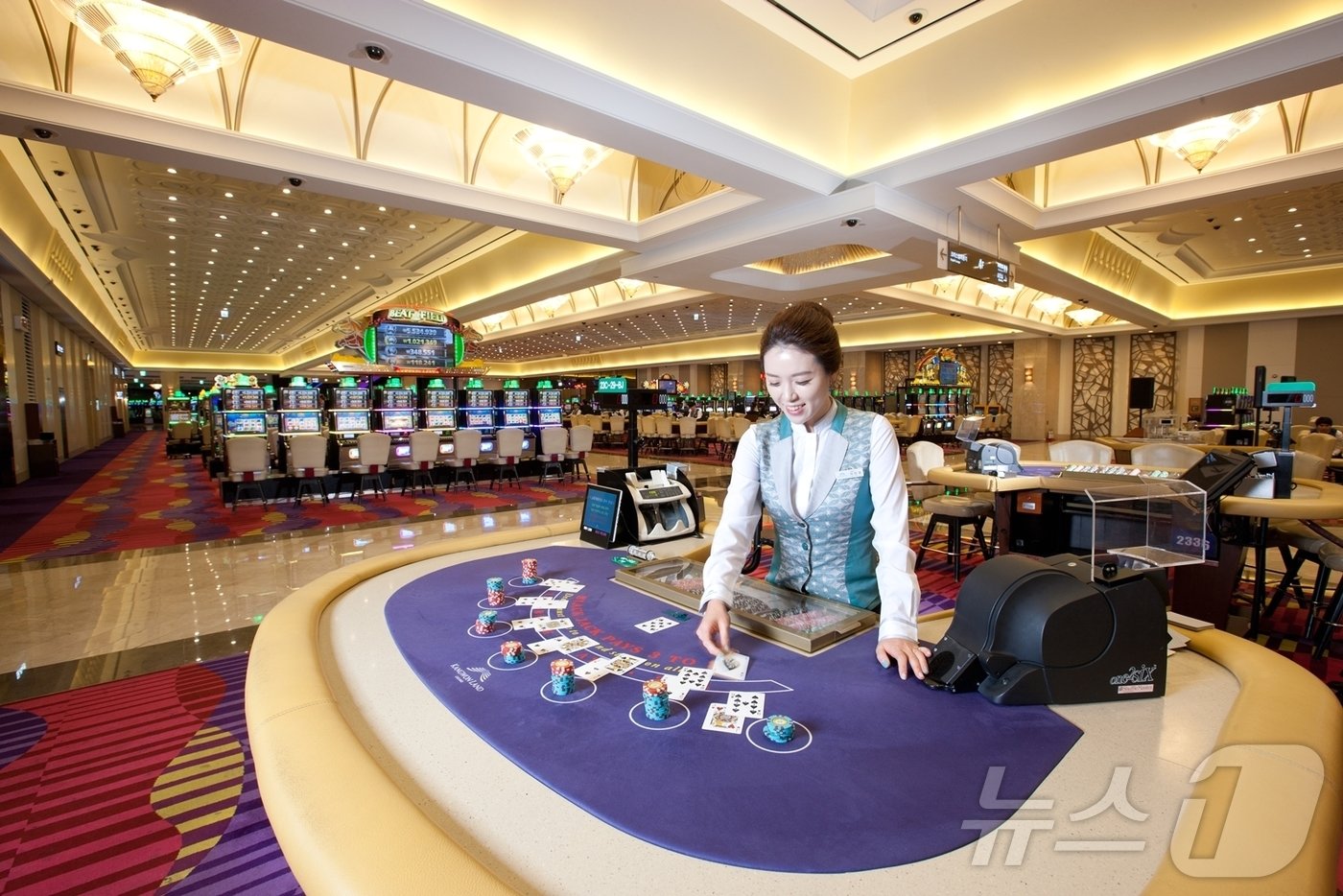 본문 이미지 - 강원랜드 카지노 자료사진. &#40;강원랜드 제공&#41; 2024.5.19/뉴스1