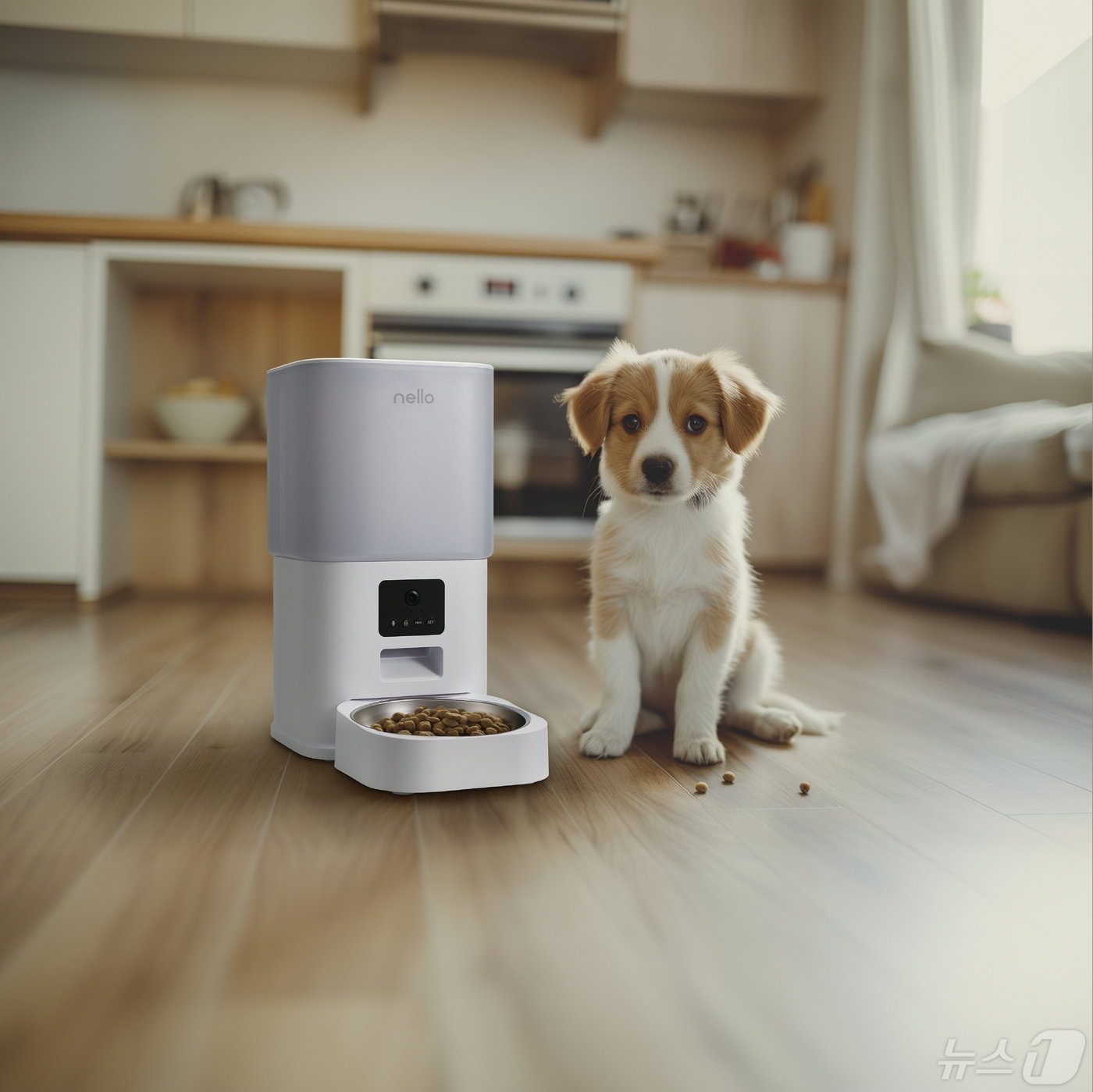 본문 이미지 - 쿠쿠전자의 펫 브랜드 넬로가 선보인 '스마트 홈 카메라 펫 급식기'.(쿠쿠전자 제공)