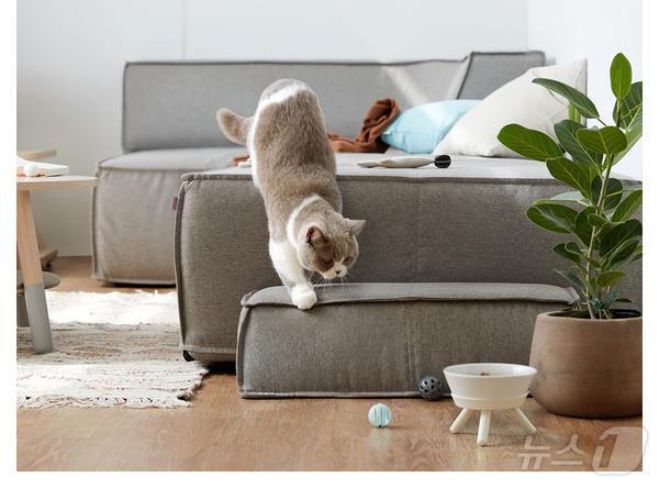 본문 이미지 - 일룸의 캐스터네츠 시리즈 펫 3인 세트 소파.(일룸 제공)