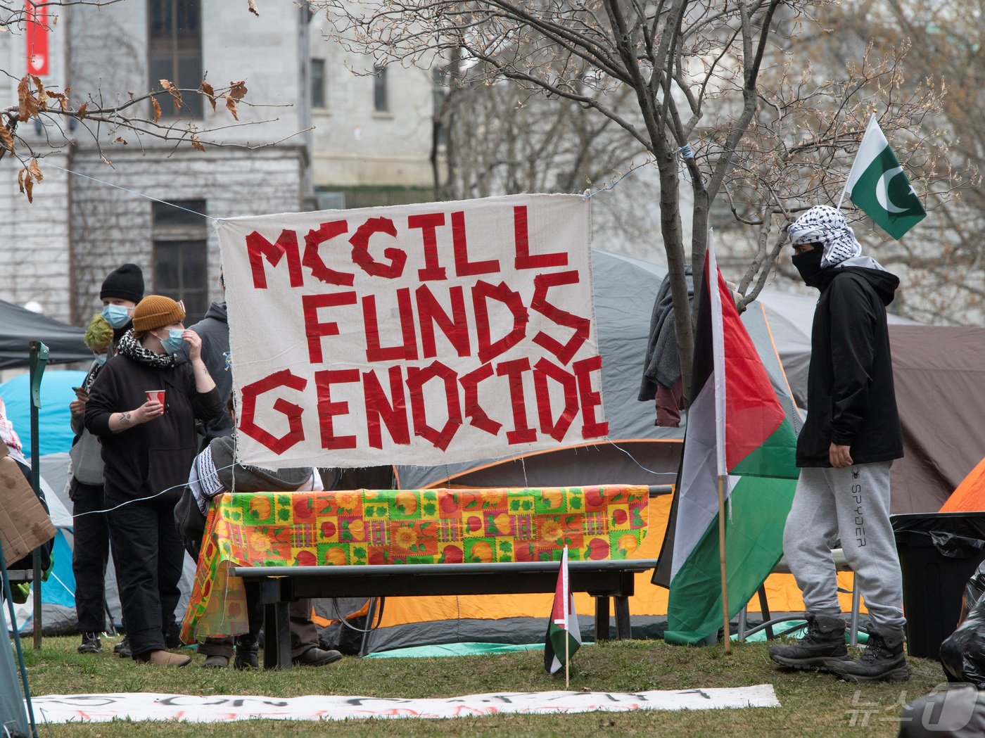 본문 이미지 - 미국 뉴욕 컬럼비아대에서 시작된 친&#40;親&#41;팔레스타인·가자전쟁 종전 시위가 각국의 대학가로 번진 가운데 28일&#40;현지시간&#41; 캐나다 몬트리올 소재 맥길대에서도 팔레스타인을 지지하는 학생들이 잔디밭에서 천막 농성을 벌이고 있다. 2024.04.28. ⓒ 로이터=뉴스1 ⓒ News1 김성식 기자