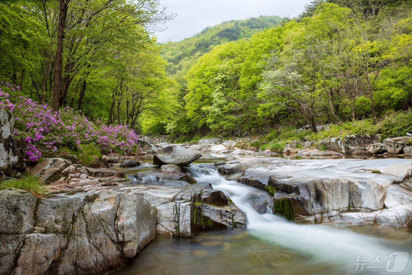 월성계곡&#40;거창군 제공&#41;.