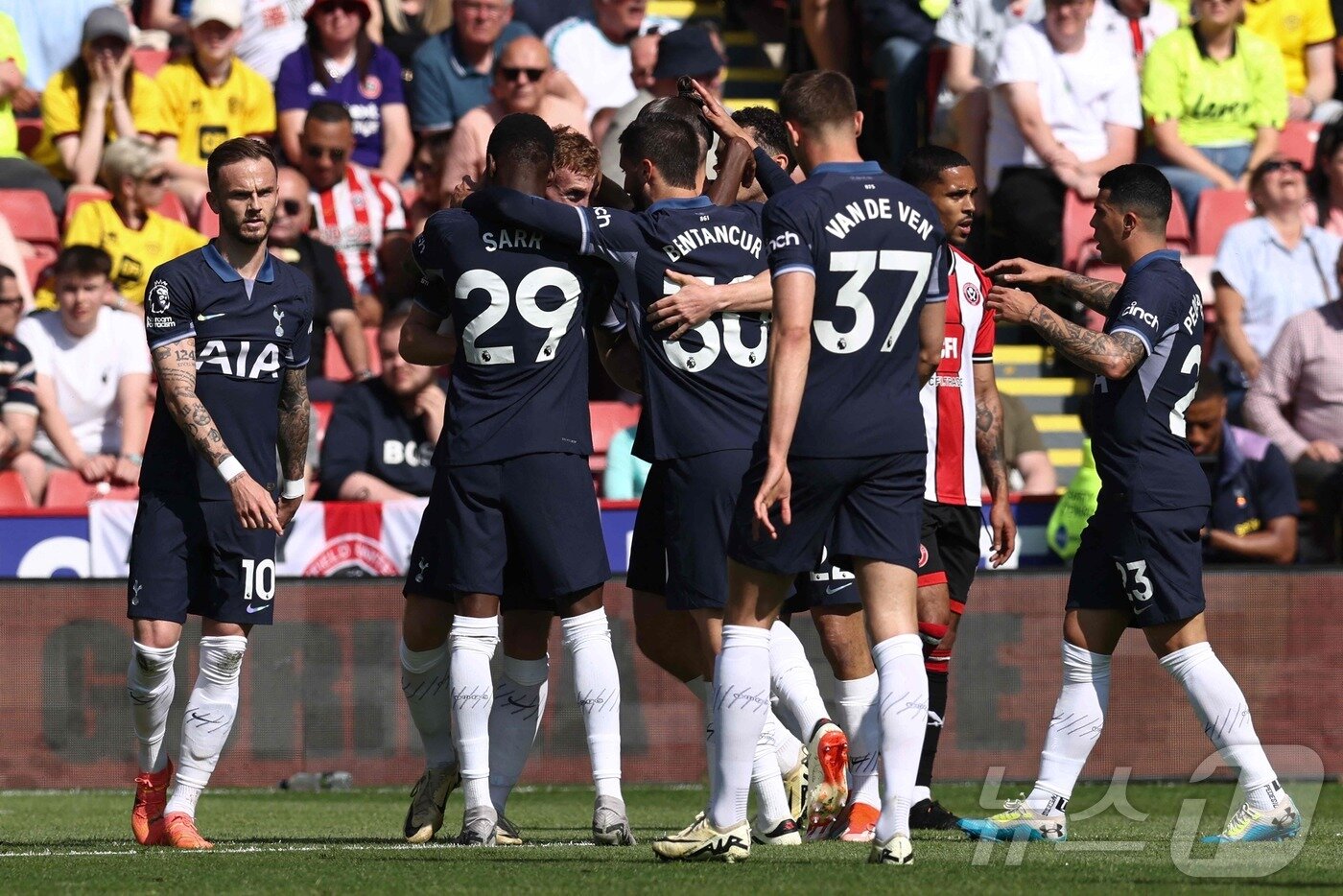 본문 이미지 - 셰필드를 꺾고 EPL 5위를 확정한 토트넘. ⓒ AFP=뉴스1